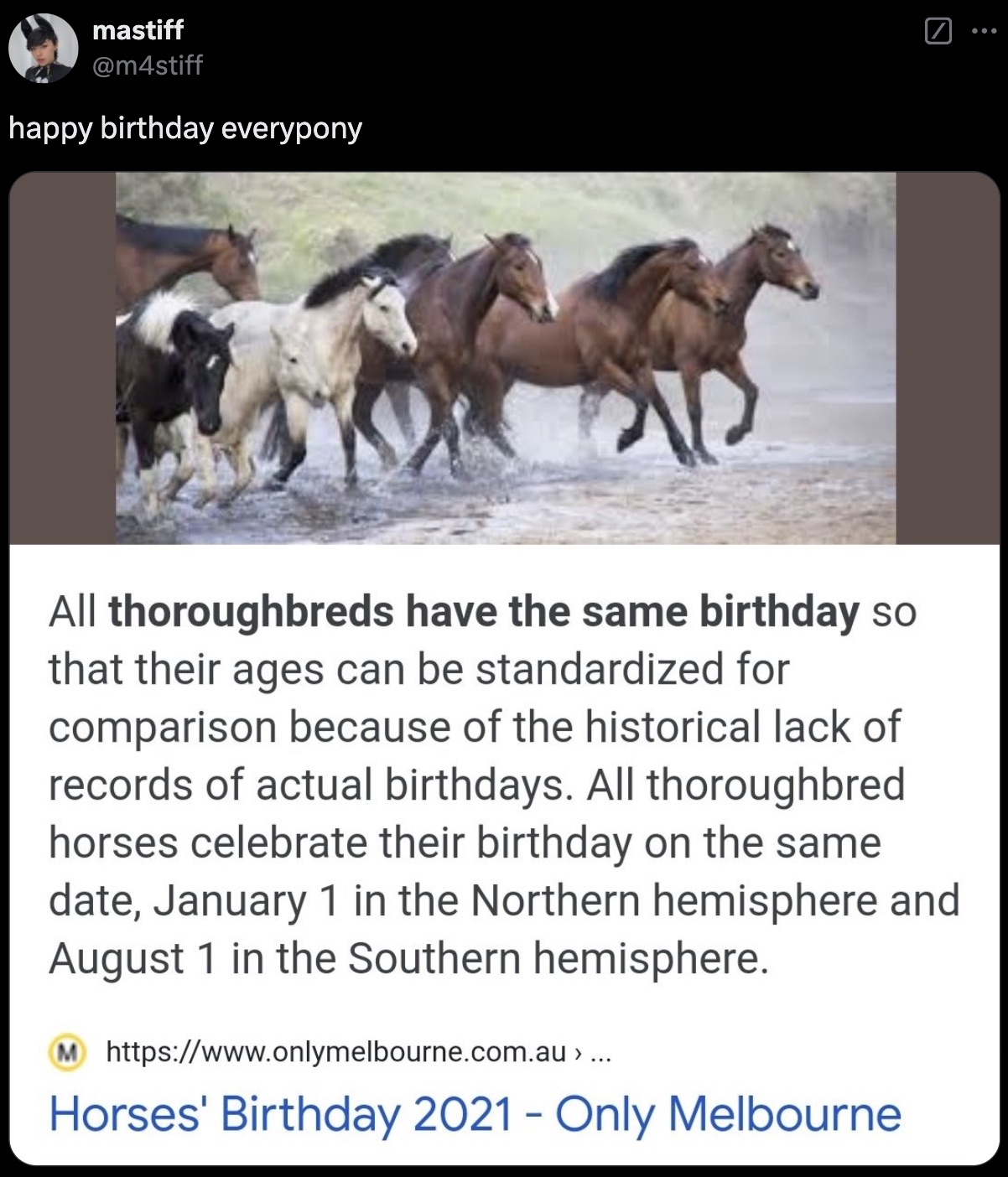 horse birthday - mastiff happy birthday everypony All thoroughbreds have the same birthday so that their ages can be standardized for comparison because of the historical lack of records of actual birthdays. All thoroughbred horses celebrate their birthda